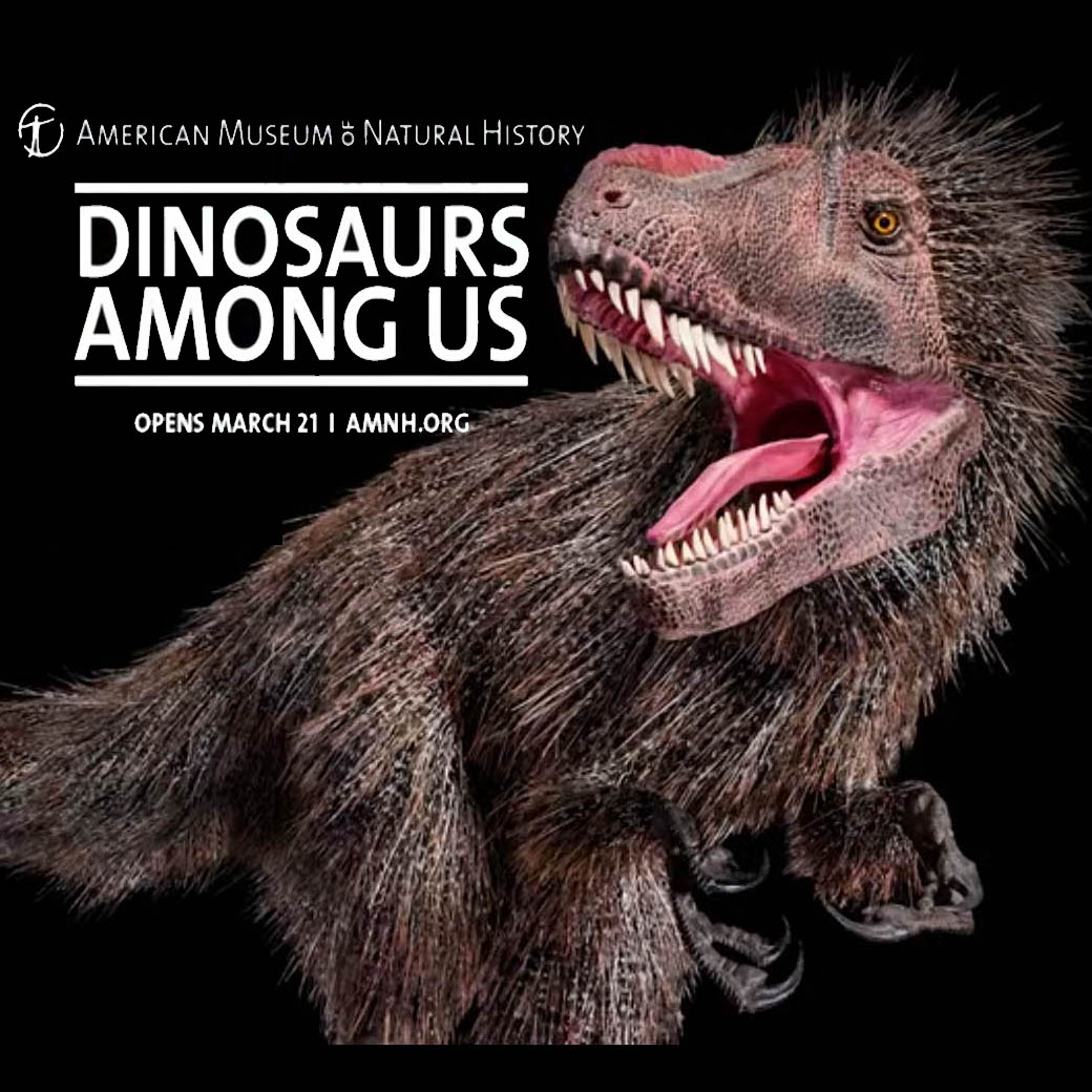 Dinosaur Exhibit